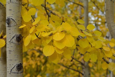 DSC_0105.jpg