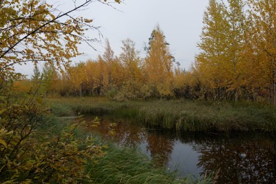 DSC_0054_DxO_ww.jpg