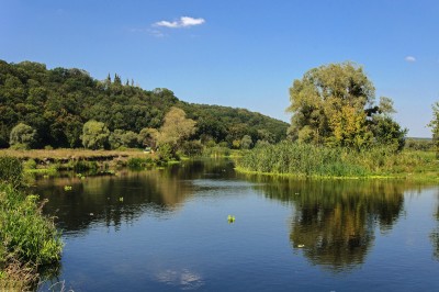 DSC_0631.jpg