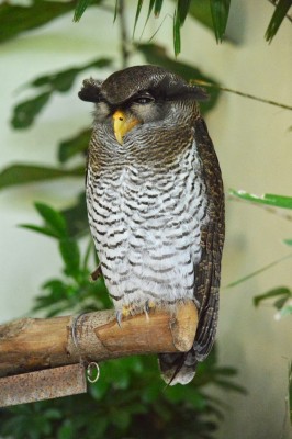 DSC_0142.jpg