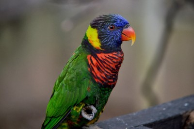 DSC_0157.jpg