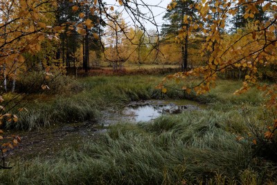 _DSC0418_DxO.jpg