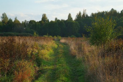 DSCF0469.jpg