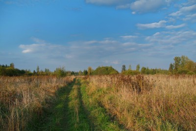 DSCF0460.jpg