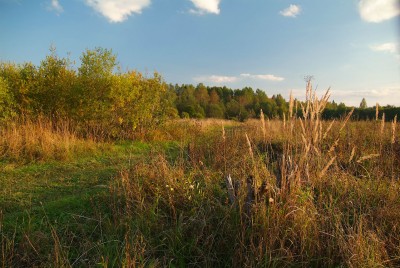 DSCF0474.jpg