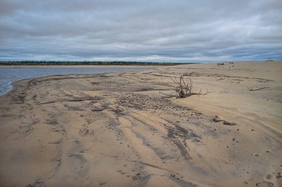 DSCF4029.jpg