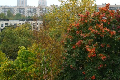 DSCF0520.jpg
