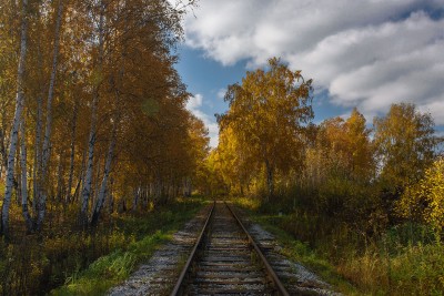 DSC_0986-1crop.jpg