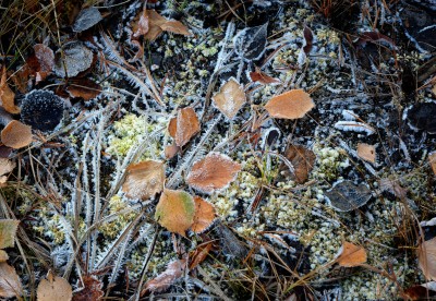 DSC_0474nx.jpg