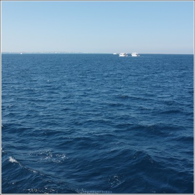 DSCF1323.JPG