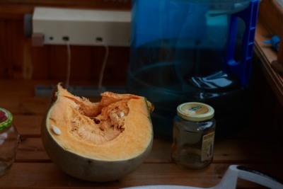DSC_0536www.jpg