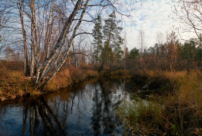 DSC_0616.jpg