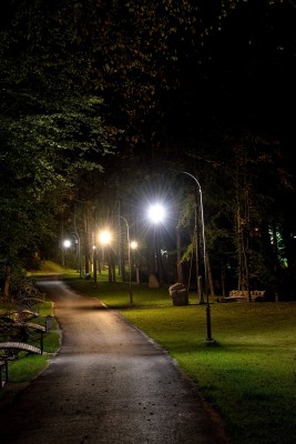 DSC_5297_01.JPG