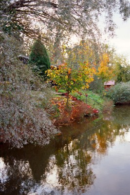 Ektar_14_.jpg