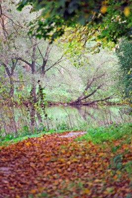 Ektar_31_.jpg