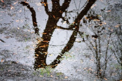 DSC_20111127_D3100_3711.jpg