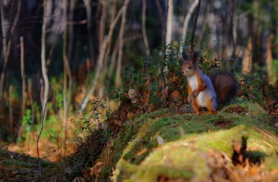 DSC_6434_DxOw.jpg