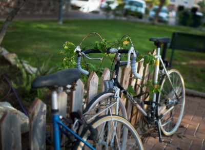 PIV_0277-Edit.jpg