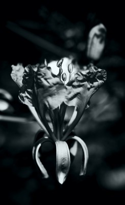 PIV_0289-Edit-Edit.jpg