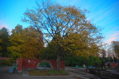 DSC_7166.JPG