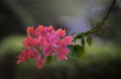 PIV_0354-Edit.jpg