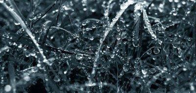 PIV_0391-Edit-Edit.jpg