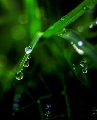 PIV_0399-Edit.jpg