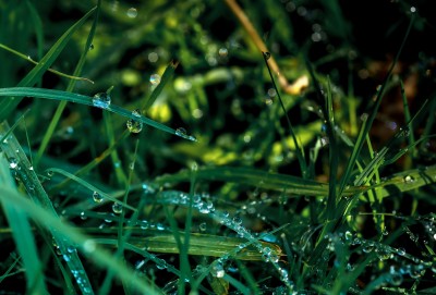 PIV_0411-Edit.jpg