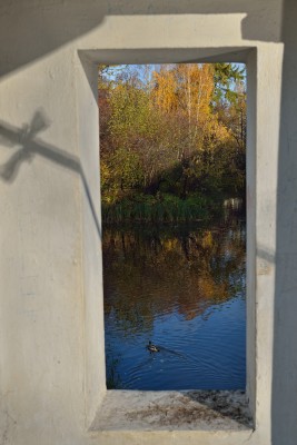 DSC_1516-1000.jpg