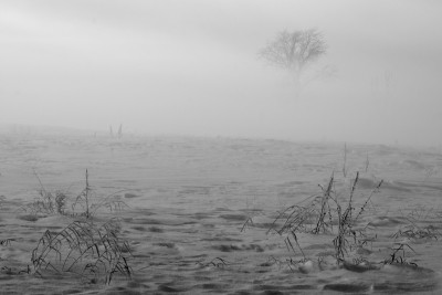 DSC_7022-1_01-1.jpg