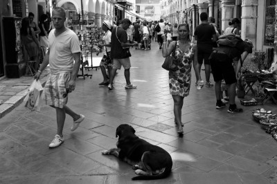 DSC_0006_DxO-1000.jpg