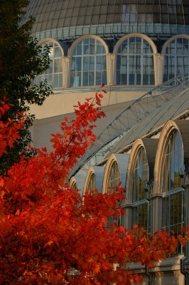 DSC_0116_hdr.jpg