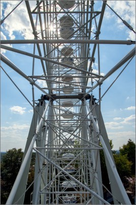 DSCF0490.jpg