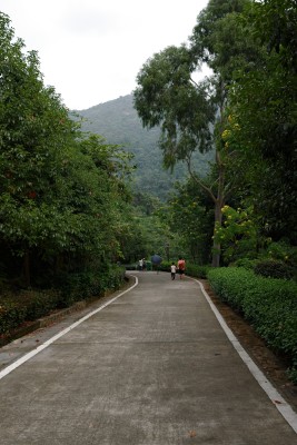DSC_9839.jpg
