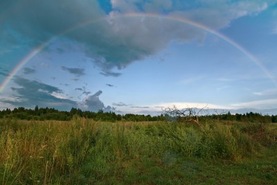 DSC_2848.jpg