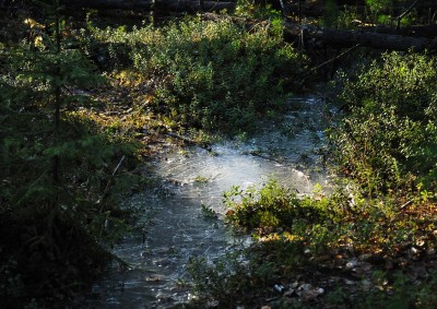 DSC_1877_w.jpg