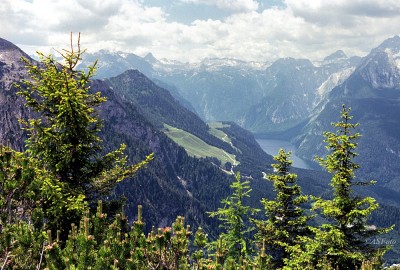 N07112n31.jpg