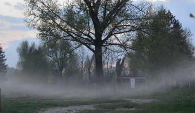 DSC_2289.jpg