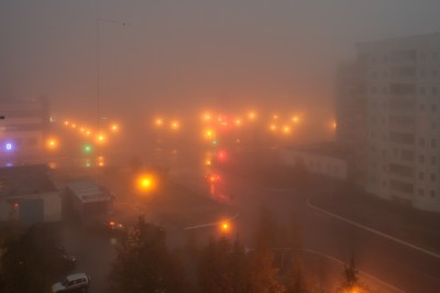 DSC_8478nx.jpg