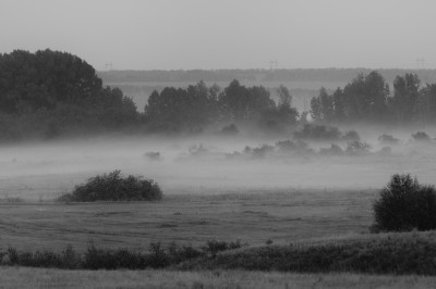 DSC_5639_DxO_b&w.jpg