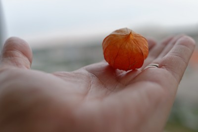 DSC_6528_DxO рес.jpg
