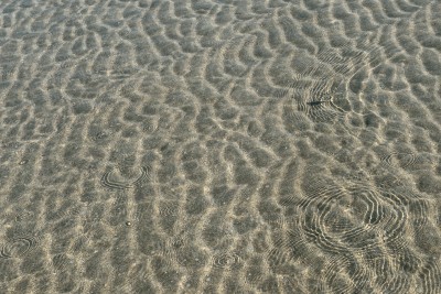 DSC_2571.jpg