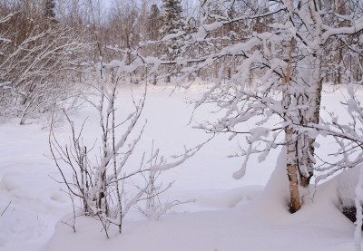 DSC_2531.jpg