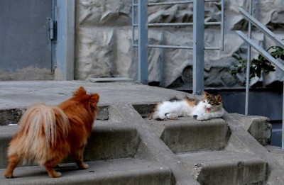 DSC_5101.JPG
