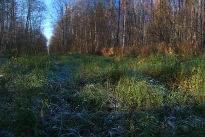 DSCF0781.jpg