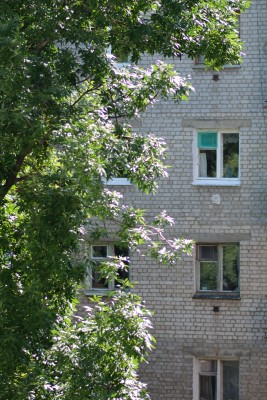 DSC_1938.jpg