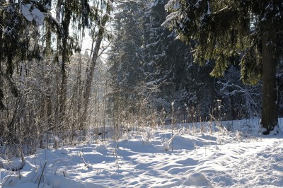 DSC_7884.jpg
