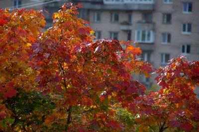 DSC_6730.jpg