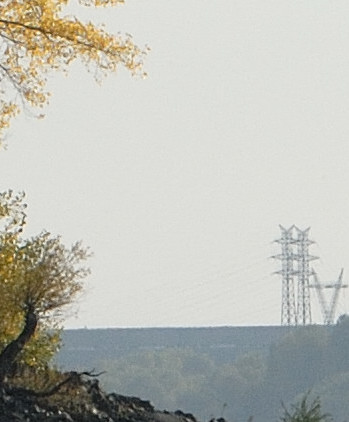 DSC_7163_nx2_crop.jpg