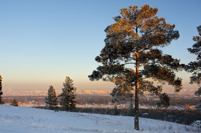 DSC_9240.jpg